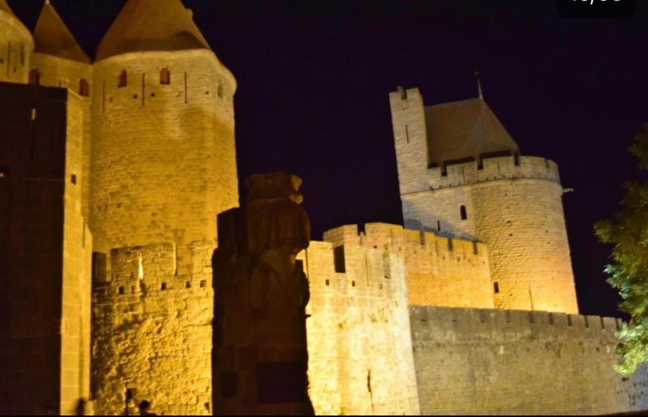 Le Carre Gambetta Apartment Carcassonne Bagian luar foto